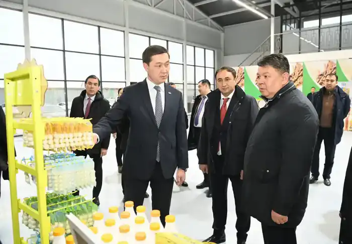 Запуск малой промышленной зоны «Тумар»: 8 цехов и 50 новых рабочих мест Астане