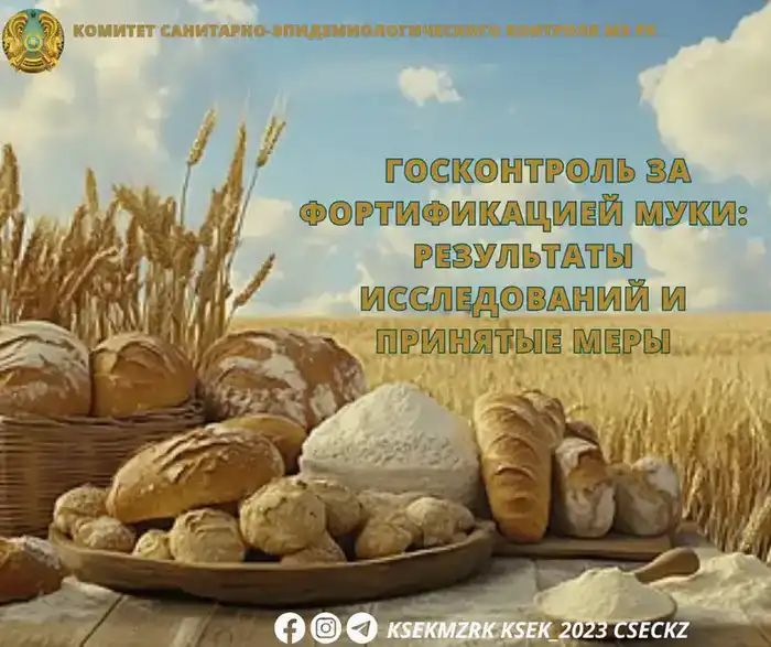 Проблемы соблюдения стандартов фортификации муки: результаты контроля и их последствия для производителей Астане