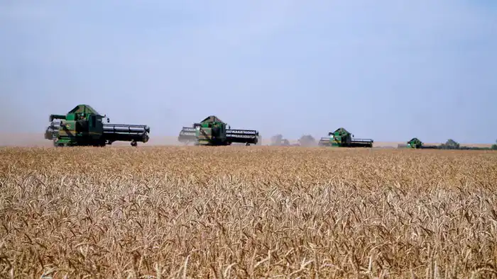 Акмолинская область стала лидером страны по валовому сбору зерновых Астане