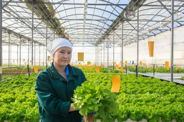 В Жетісу малый и средний бизнес расцветает: объем продукции вырос на 15,2% Астане