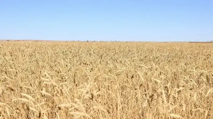 Караганда: урожай, инвестиции и новые рабочие места! Астане