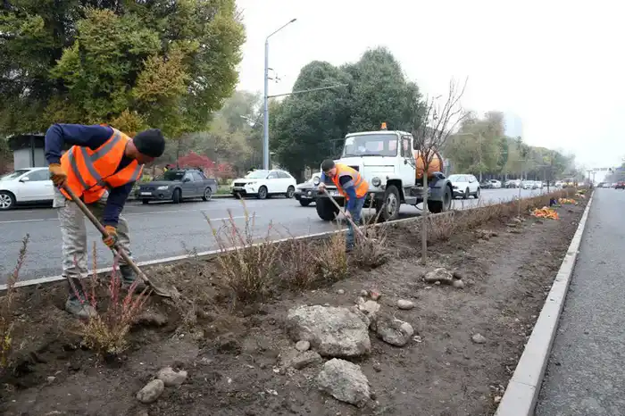 Аким Алматы сообщил о комплексном благоустройстве 11 улиц протяжённостью 49 километров Астане
