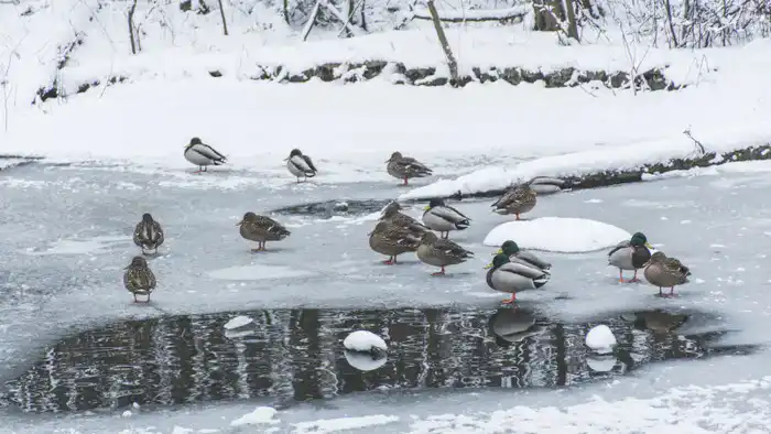 Арктический холод угрожает Казахстану: синоптики предупреждают о резком ухудшении погоды и возможных последствиях Астане