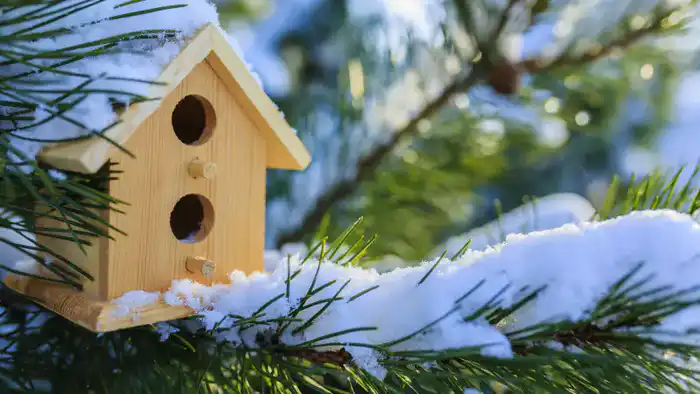 Зимние морозы: Астана под снегом, Алматы готовится к похолоданию Астане