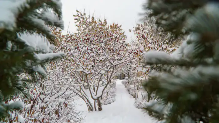 Сильный ветер в Астане и возвращение морозов в Алматы: как это повлияет на жителей городов в ближайшие три дня Астане