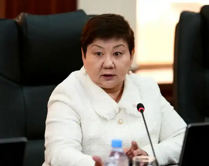 Итоговое заседание Общественного совета при Минэнерго: 107 проектов НПА в фокусе развития энергетики Астане