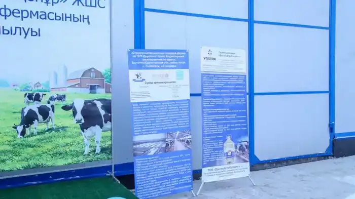 В ВКО состоялось открытие новой молочно-товарной фермы на 1075 голов (4)