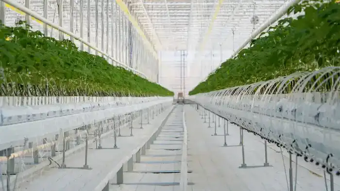 Депутаты Сената Парламента РК проверяют реализацию агропромышленных проектов в Туркестанской области Астане