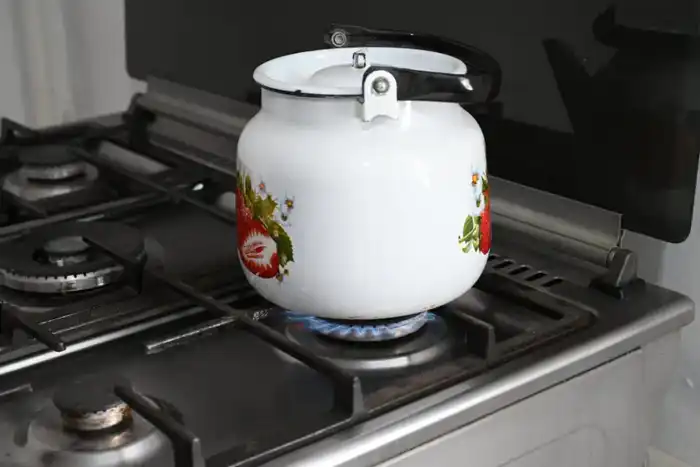 Итоги года в Жетісу: число газифицированных населенных пунктов достигло 126 (6)