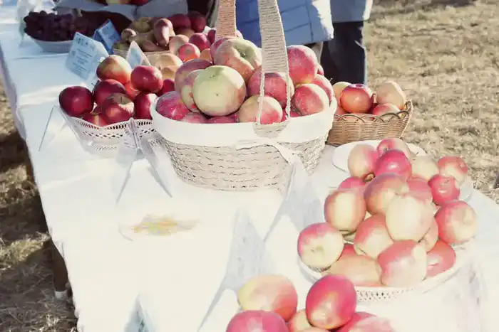 Торжественная церемония закладки «Мичуринского сада»: Старт масштабного международного проекта по развитию интенсивного садоводства в Казахстане (9)