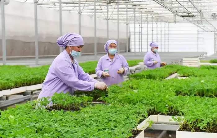 Рост аграрного сектора Туркестанской области способствует развитию региональной экономики и повышению продовольственной безопасности. Астане