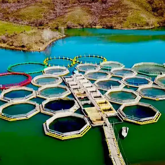 Особый порядок закрепления участков рыбохозяйственных водоемов международного или республиканского значения для осуществления садковой хозяйственной деятельности Астане