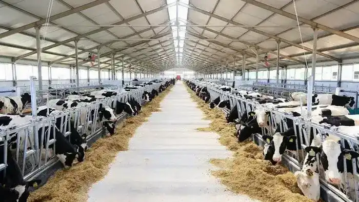 Карагандинская область: итоги года в сфере сельского хозяйства (3)