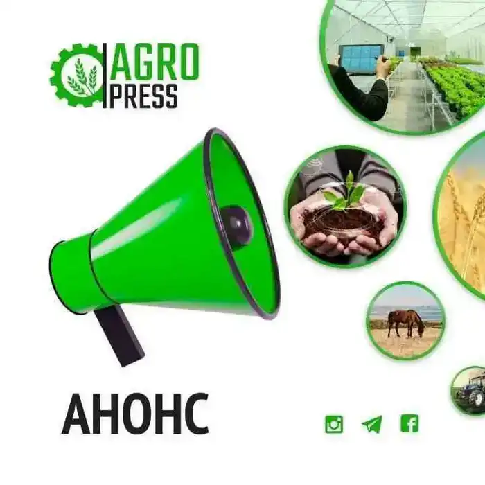 Зерно идей: вице-министр сельского хозяйства соберёт урожай вопросов от жителей Акмолинской области Астане