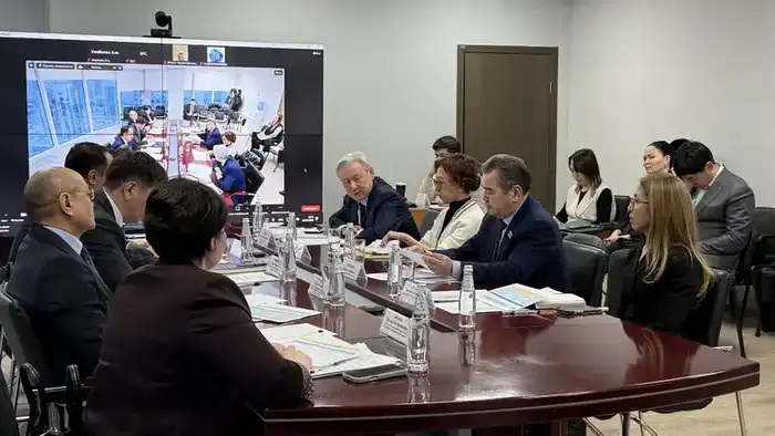 Цифровизация налоговой системы и поддержка регионов в рамках заседания Общественного совета Астане