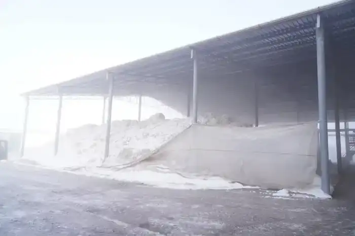 Хлопкоперерабатывающие предприятия Мактаарала экспорт в Китай Нуралхан Кушеров Астане