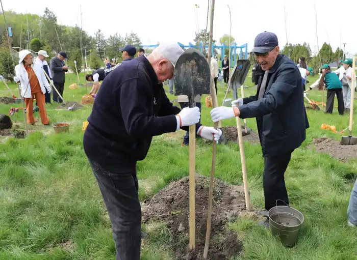 Итоги года в Жетісу: в рамках программы «Таза Қазақстан» создано 11 новых парков и 5 скверов (9)