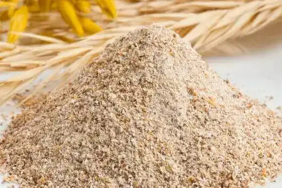 Развитие экспортных возможностей Казахстана через сотрудничество с Китаем в агропромышленности Астане