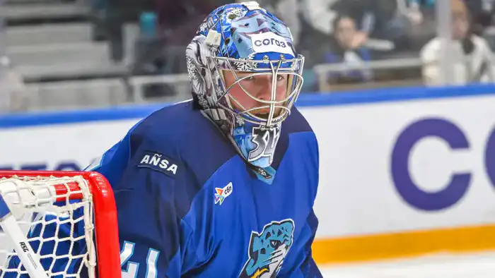 Московское 'Динамо' и 'Барыс': хоккей как объединяющий фактор для болельщиков в регулярном чемпионате КХЛ Астане