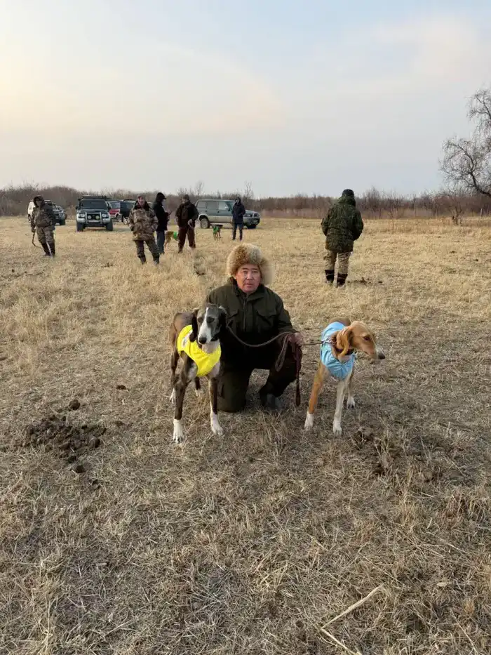 Тазы из Алматы показали лучшие результаты на республиканских охотничьих испытаниях Астане