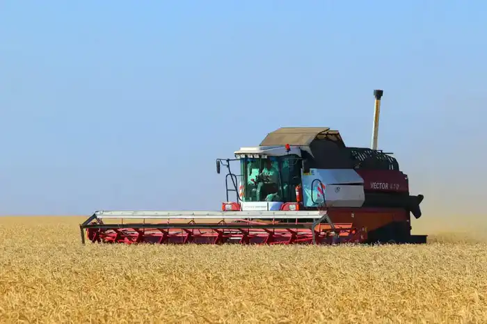 Рост объемов сельскохозяйственной продукции в регионе способствует улучшению продовольственной безопасности и благосостояния местных аграриев. Астане