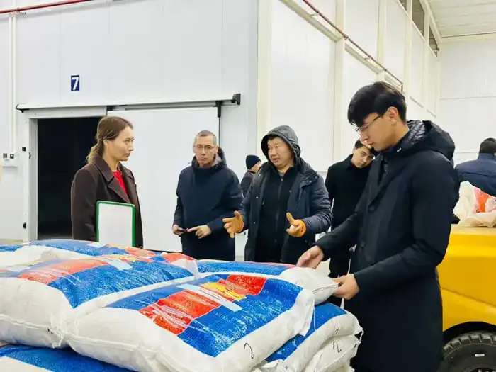 Туркестан: 30 заводов и 700 новых рабочих мест! Астане