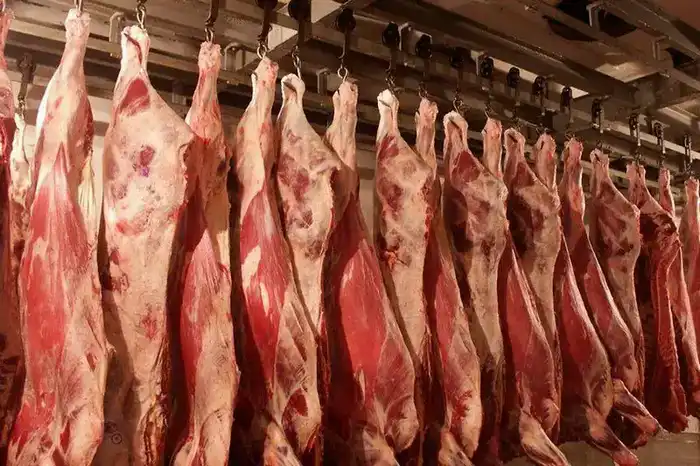 Производство мяса в России достигло 1,02 млн тонн за 11 месяцев 2025 года, увеличившись на 3% по сравнению с 2024 годом Астане