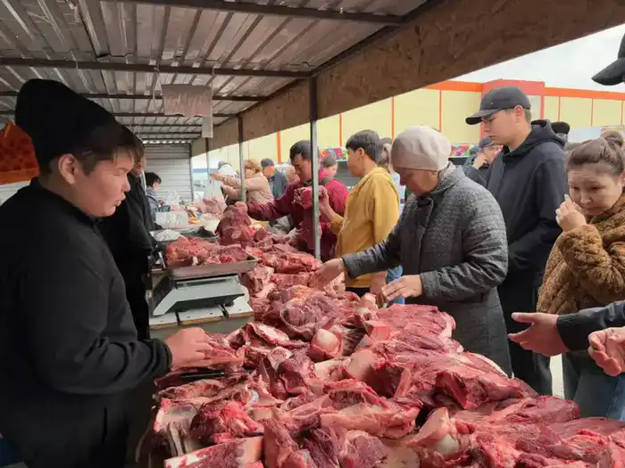 Объём сельскохозяйственной продукции в Мангистауской области достиг 38 млрд тенге (4)