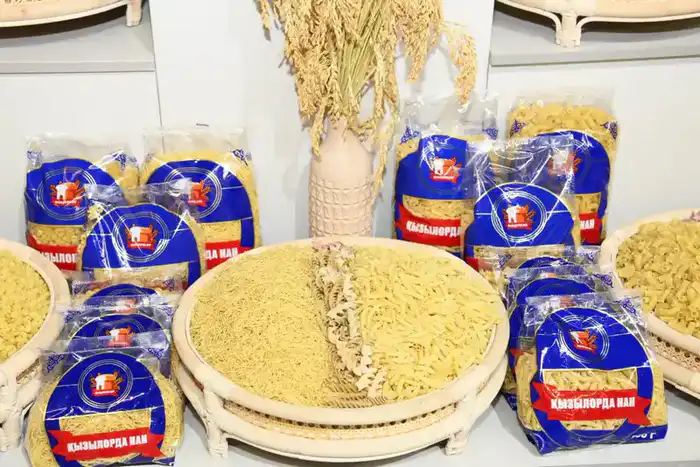 Заместитель Премьер-министра ознакомился с работой малой промышленной зоны «Тумар» (3)