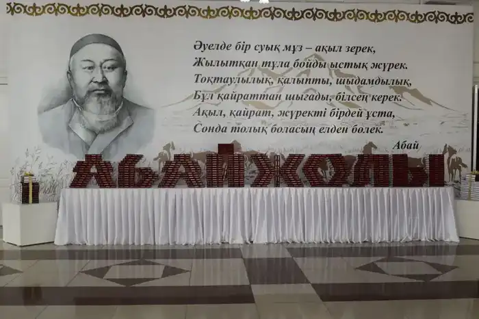 В рамках проекта «Библиотека Абай жолы» вышло 25 книг 19 авторов (8)