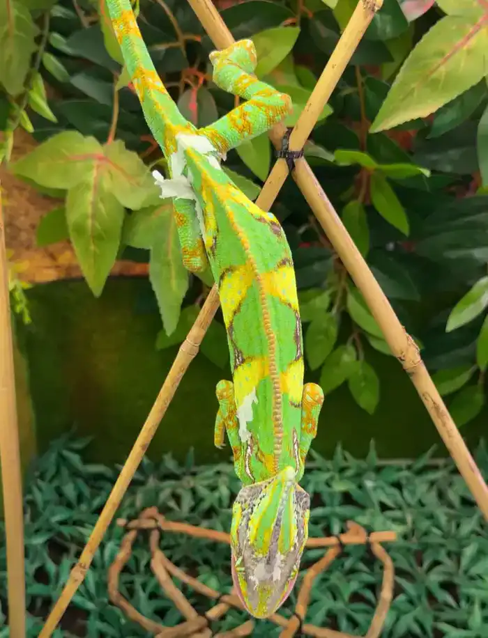 В столичной школе «Келешек мектебi» открылся кабинет «Живой природы» (2)