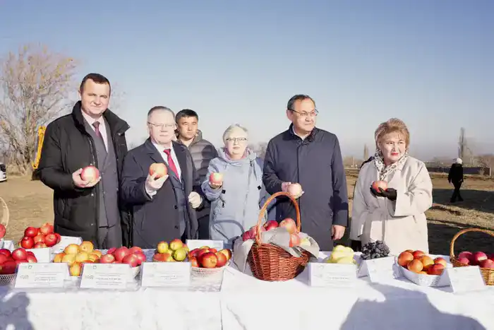 Казахстан и Россия реализуют совместный проект по развитию интенсивного садоводства (7)