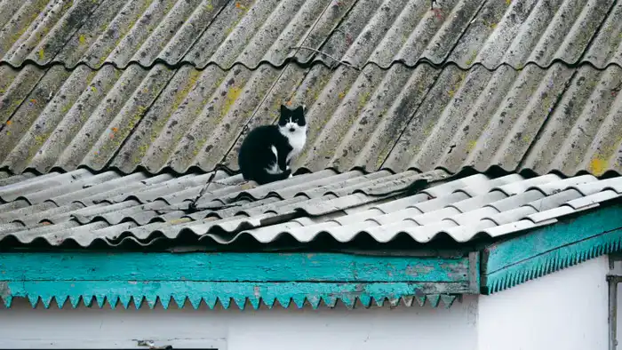 В Коянде, пригороде Астаны, жители сталкиваются с серьезными проблемами, которые продолжаются на протяжении многих лет. Инфраструктура находится в запущенном состоянии, а местные власти не спешат решать вопросы, касающиеся водоснабжения, дорог и обществен Астане