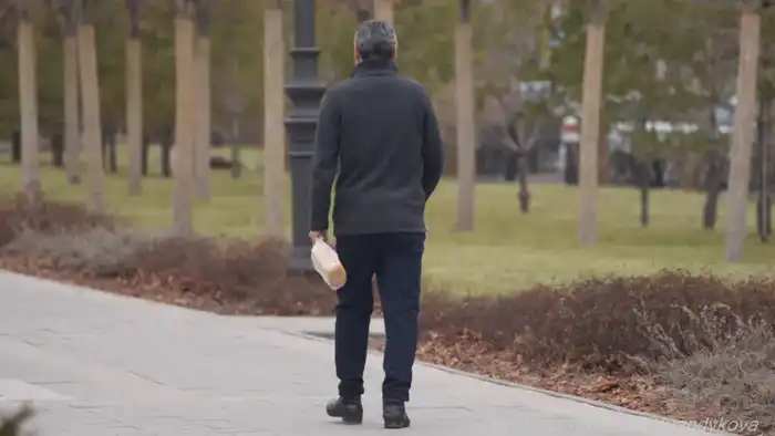 Аномальная зимняя погода в Казахстане: отсутствие снега и осадков вызывает беспокойство у населения Астане