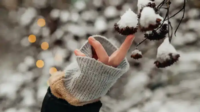 Казахстан готовится к теплому Новому году: прогноз погоды от синоптиков Казгидромета на 27-29 декабря Астане