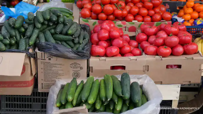 Контроль цен на фарш, огурцы, помидоры и 14 других продуктов в Казахстане с 6 января Астане