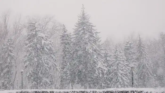 Казахстан в морозном плену: прогноз на декабрьские дни Астане