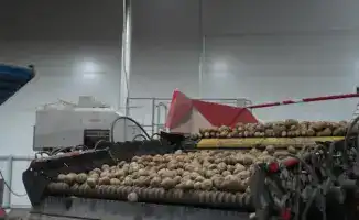 Рост производства лука и увеличение запасов картофеля в Казахстане к 29.12.2025