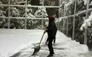 Алматы: Лидер в экологических инициативах среди молодежи в 2025 году