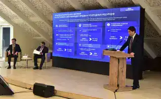 Цифровые инициативы в сфере экологии: международный опыт и местные решения