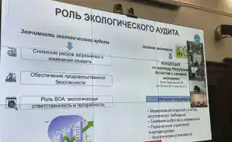 ХХVI заседание Рабочей группы стандарты государственного аудита СНГ методология экологический аудит