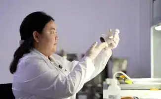 Цикорий: секретный союзник в борьбе с диабетом?