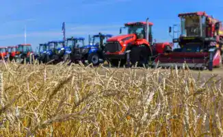 Рост валового выпуска сельскохозяйственной продукции в Казахстане на 6,1% в 2025 году