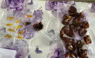 Запрещённые предметы не пройдут: гашиш и телефоны изъяты!