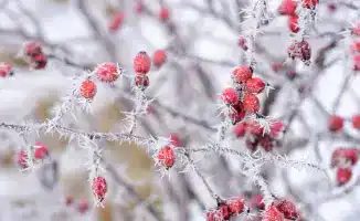 35-градусные морозы ожидаются в Казахстане: синоптики Казгидромета представили прогноз на 9-11 декабря