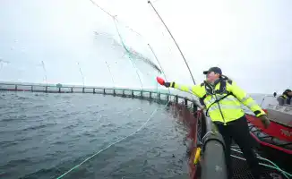 Проект по аквакультуре морского лосося в Мангистауской области