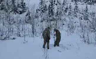 Мониторинг лавинной обстановки в ВКО
