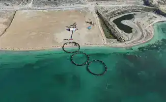 Рыбный бум: Казахстан готовится к аквареволюции!