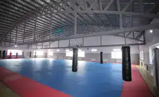 Создание специализированной школы-интерната для одарённых спортсменов в Мангистау как шаг к развитию спортивного потенциала региона