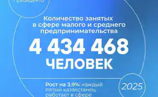 Роль малого и среднего бизнеса в экономике Казахстана: каждый пятый казахстанец занят в предпринимательской деятельности